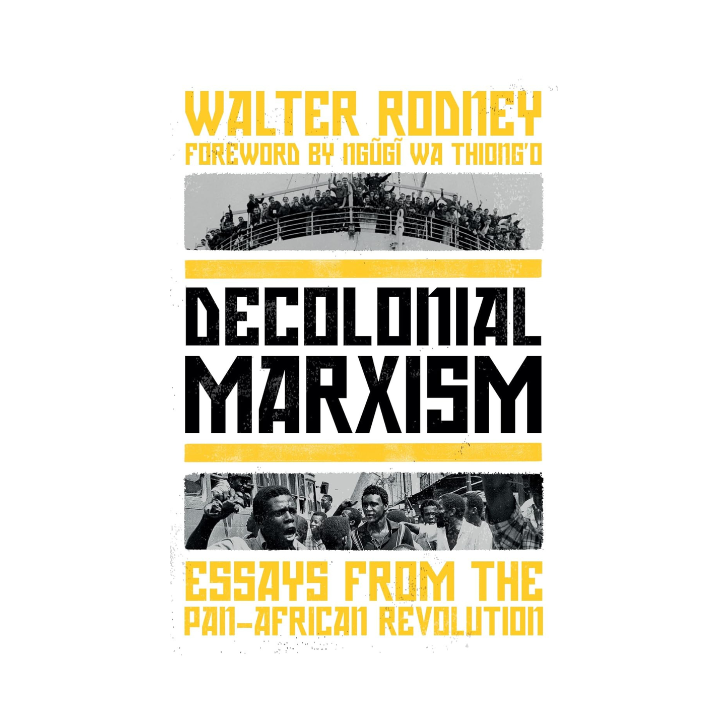 Decolonial Marxism: Essays from the Pan-African Revolution