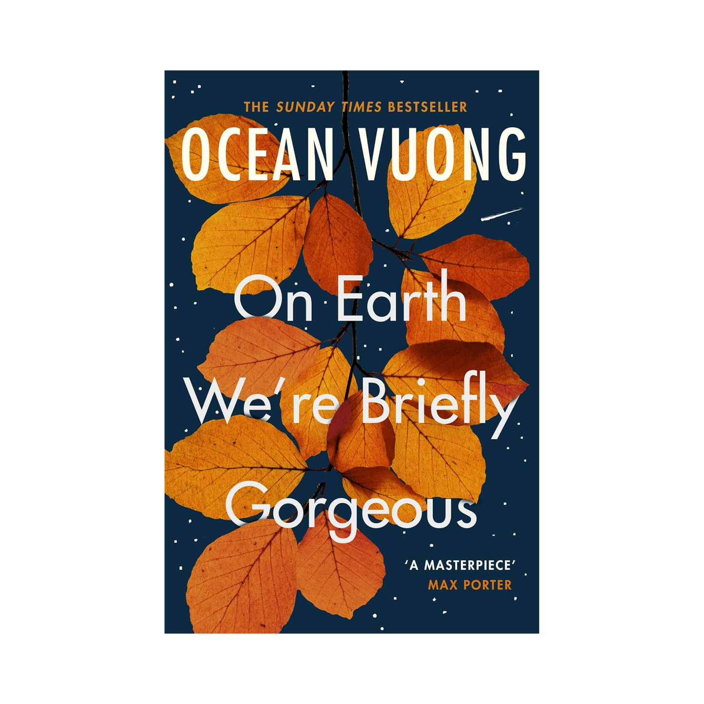 On Earth We're Briefly Gorgeous