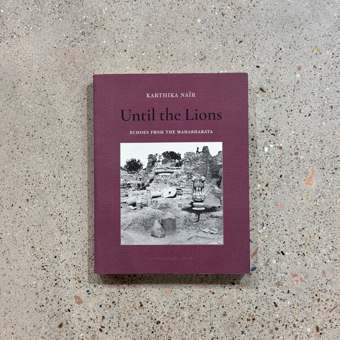 Until The Lions: Echoes from the Mahabharata