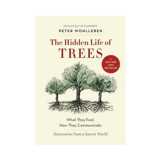 Hidden Life of Trees: What They Feel, How They Communicate | Discoveries from a Secret World