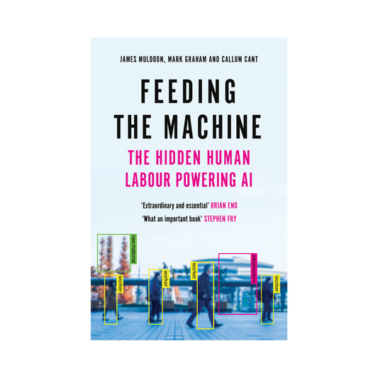 Feeding the Machine: The Hidden Human Labour Powering AI