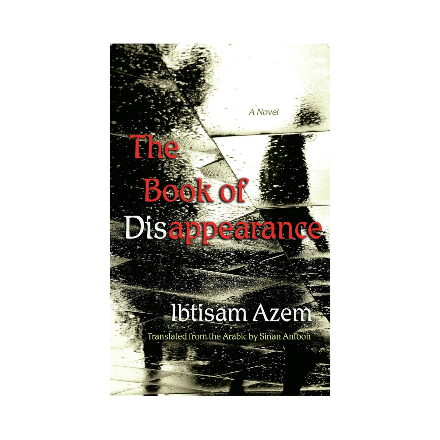 The Book of Disappearance