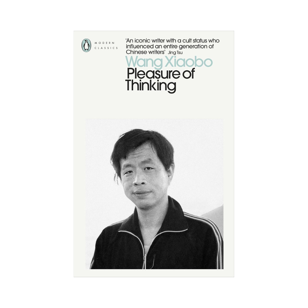 Pleasure of Thinking