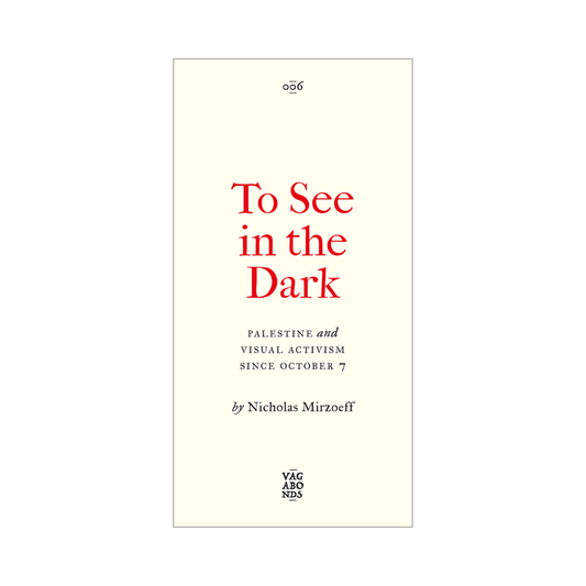 To See In the Dark: Palestine and Visual Activism Since October 7