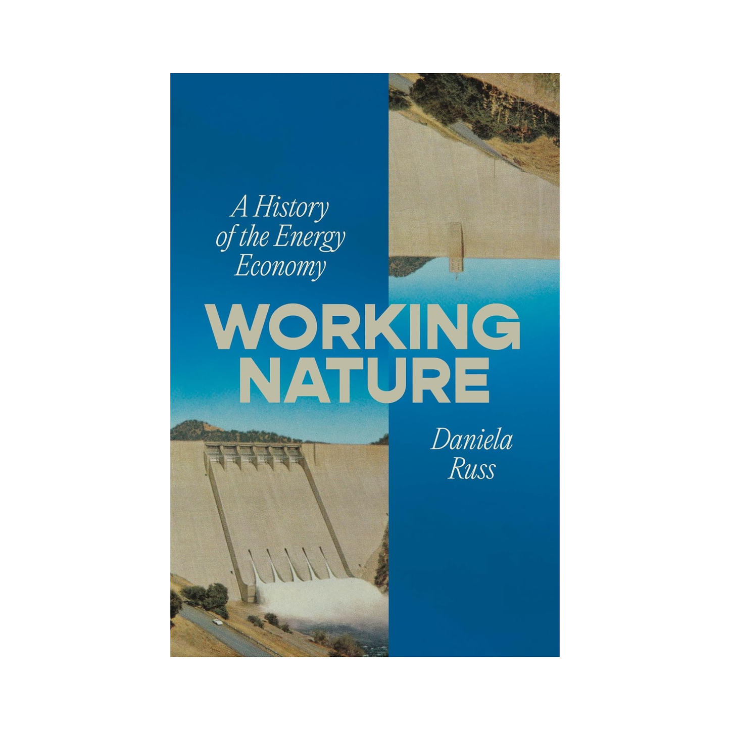 Working Nature: A History of the Energy Economy
